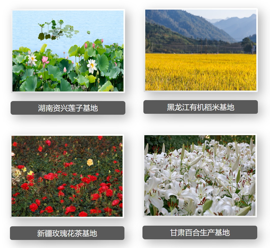 QQ图片20201105094609.png