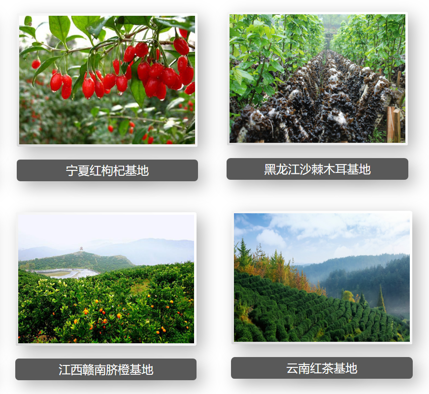 QQ图片20201105094644.png